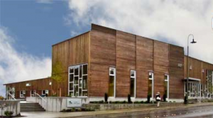 ferndale public library