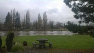 Stormy - looking at Vanderyacht Park across the Nooksack River