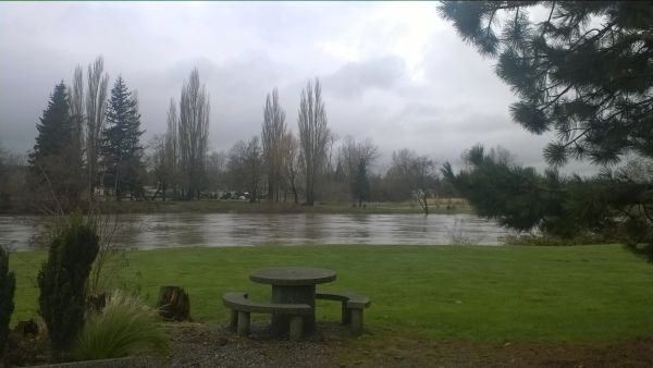 Stormy - looking at Vanderyacht Park across the Nooksack River