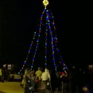2014 Ferndale tree lighting (December 5, 2014). Photo: My Ferndale News