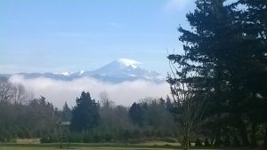 The view from Church Road over the fog this morning looking toward Mount Baker.