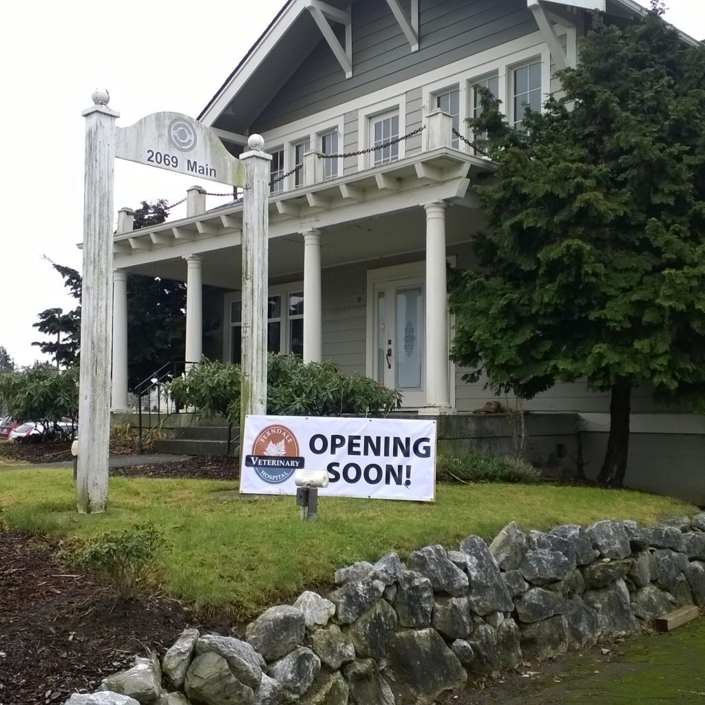 ferndale veterinary hospital opening soon