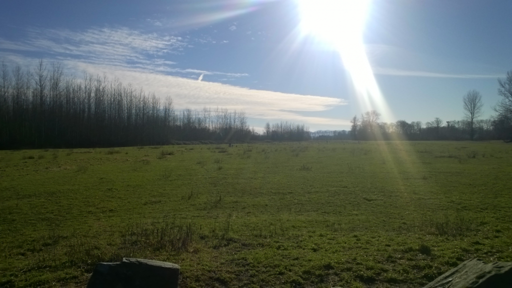 At the boat launch north of Hovander Homestead Park looking south over the dog park. 01-26-2015