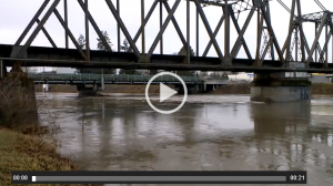 video thumbnail - Nooksack River 1-5-15