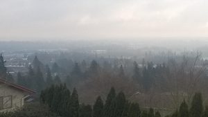 view from Church Road 1-25-2015