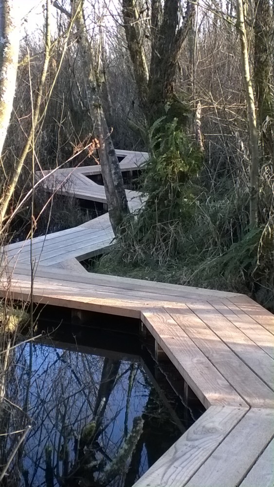 Ferndale Lake Tennant Park