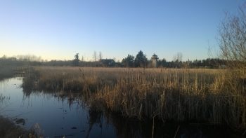 Ferndale Lake Tennant Park