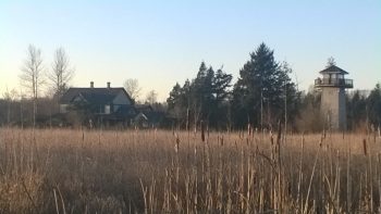 Ferndale Lake Tennant Park