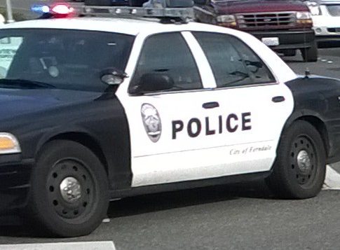 Ferndale Police Car emergency