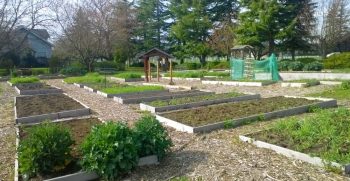 Ferndale Friendship Community Garden