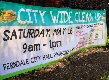 citywide clean up