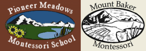 montessori schools