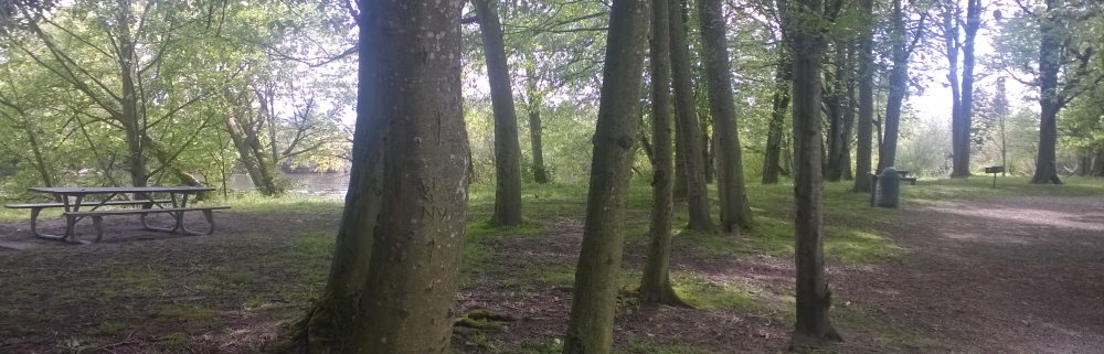 vanderyacht park pano