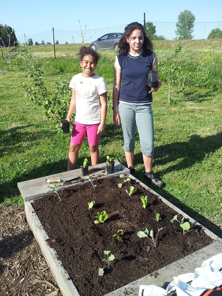 boys and girls club working their plots at the ferndale friendship community garden