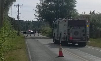 tree falls across power lines 2400 douglas rd 2
