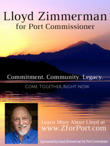 zimmerman 2015 primary 300x