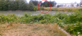 2015 drive over the river