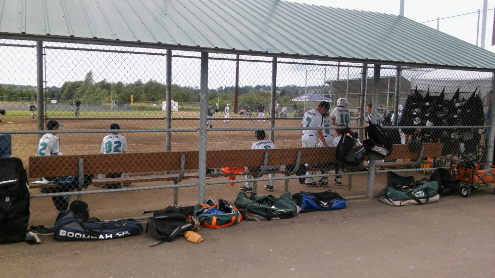 2015 whatcom americans dugout 12U cal ripken baseball