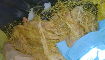 Turkey carcass found in dog park 2015-07