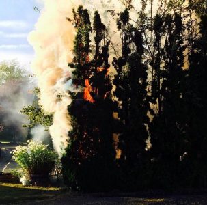 bush fire on shelby court 2015-07-04