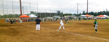 cal ripken 12u tournament championship game 2015