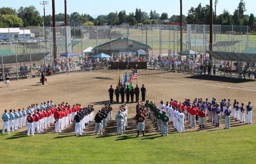 cal ripken baseball fi