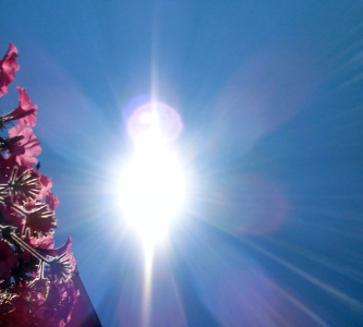 sunny day weather warm