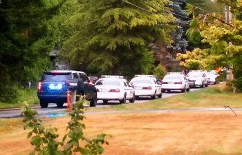 481 incident on Brown Rd by Malloy 2015-08-05