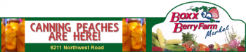 boxx berry farm canning peaches 728x