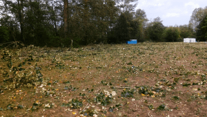 hovander wind storm debris 2 2015-08-29