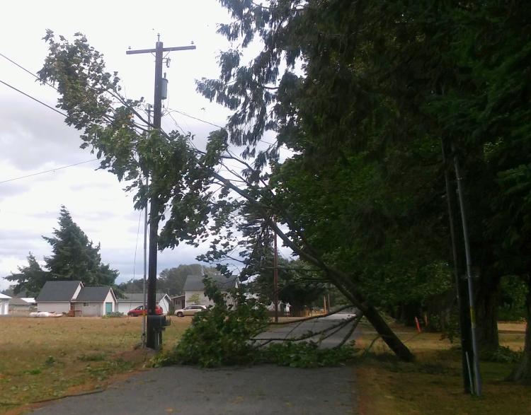 newkirk road wind storm debris 2015-08-29