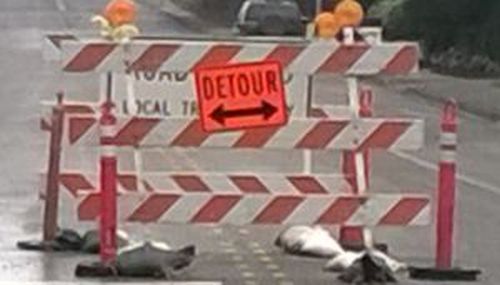 detour sign DF stock grfx - bigger