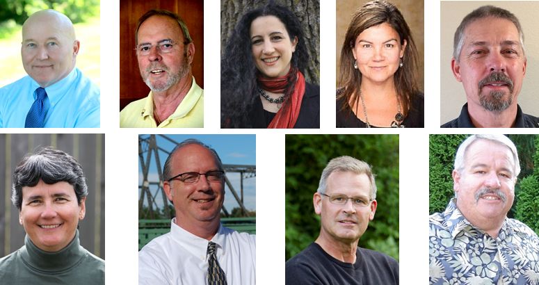 2015 ferndale general election mosaic