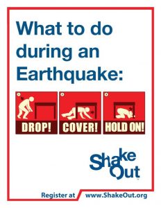 shakeout poster