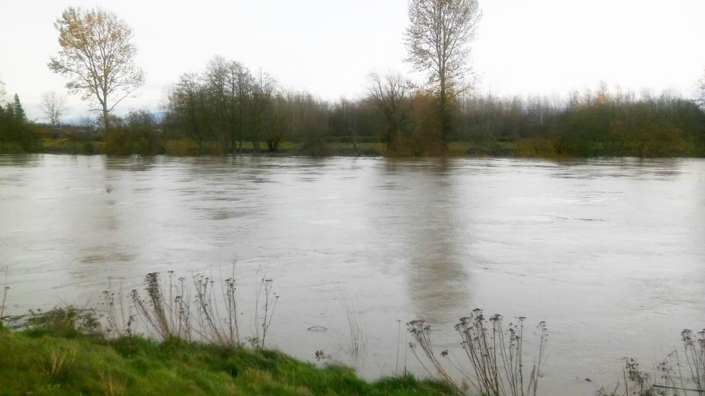 Hovander Park during 18 foot flooding 2015-11-18