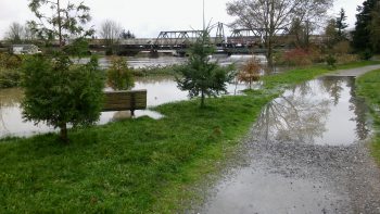VanderYacht Park during 17' flooding 2015-11-14