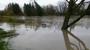 VanderYacht Park during 17' flooding 2015-11-14