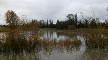 VanderYacht Park during 17' flooding 2015-11-14