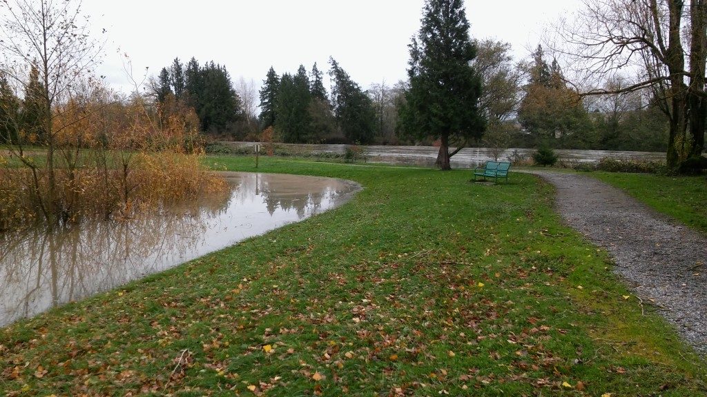 VanderYacht Park during 17' flooding 2015-11-14