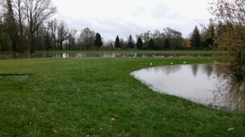 VanderYacht Park during 17' flooding 2015-11-14