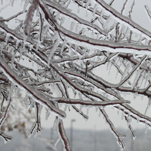 cold ice weather winter