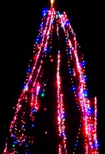 ferndale holiday tree 2015