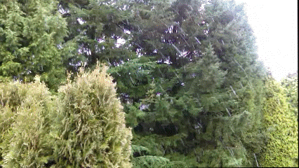 Light snow in Ferndale (December 27, 2015). Video: My Ferndale News