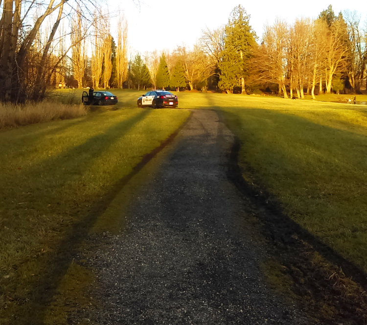 car in vanderyacht park 2016-01-06