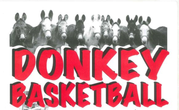 donkey basketball