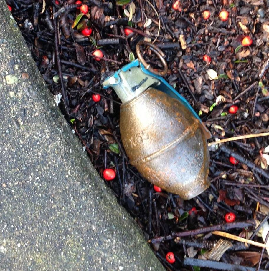 grenade device found in ferndale 2016-02-22