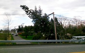 broken power pole after windstorm at smith and barrett 2016-03-10