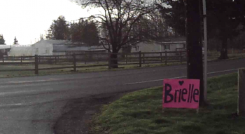 roadside prom invite - brielle