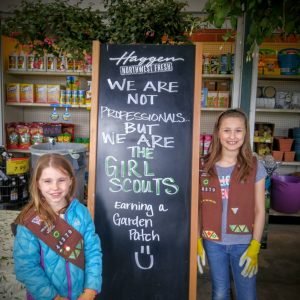 girl scouts earning badges at ferndale haggen 2016-04-16 photo elizabeth blakley