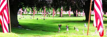 Avenue of Flags display at Greenacres Memorial Park. (May 29, 2016) Photo: Whatcom News